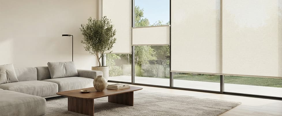 Beautiful Blinds for a